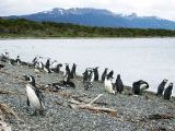 Foto: Tierra del Fuego. Gateway to the Icy Continent